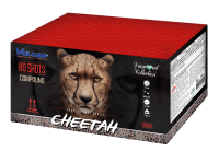 Cheetah